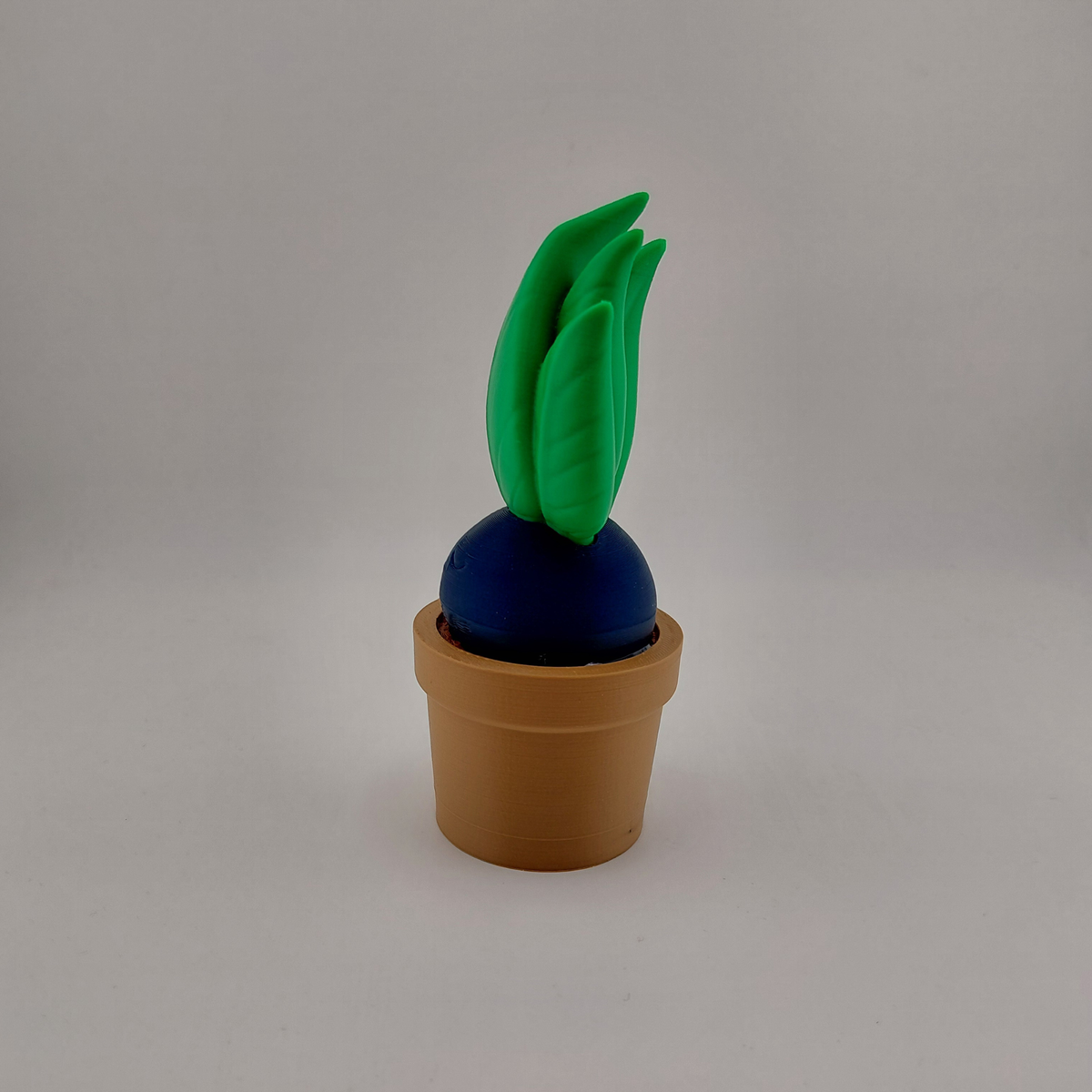 Sleeping Oddish in a Pot