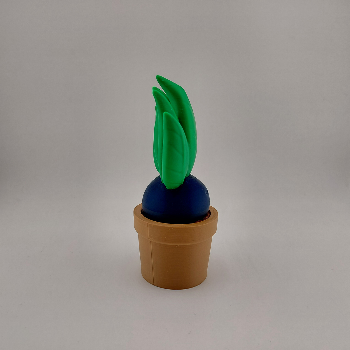 Sleeping Oddish in a Pot