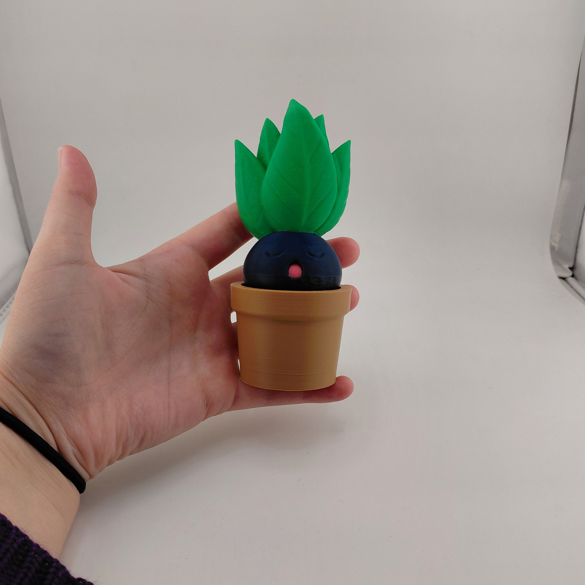 Sleeping Oddish in a Pot