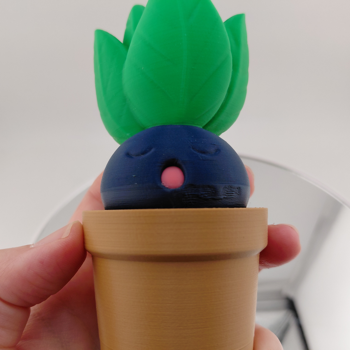 Sleeping Oddish in a Pot